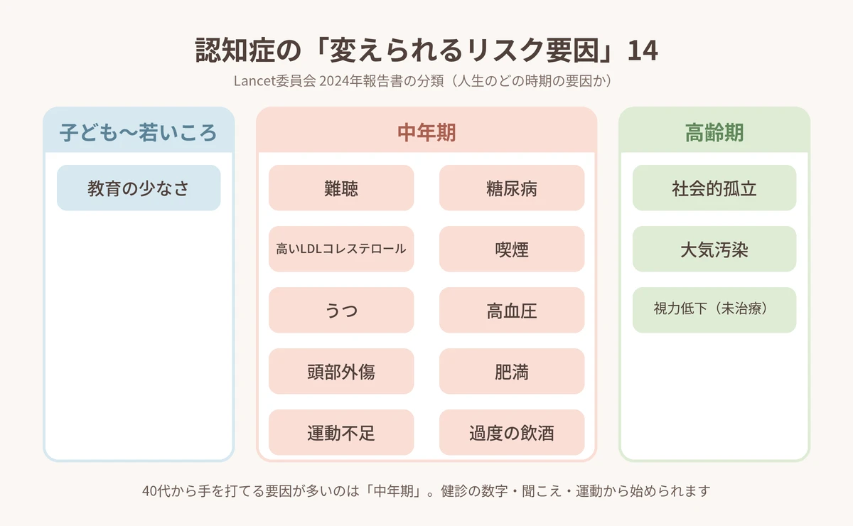 認知症の変えられるリスク要因14(Lancet委員会2024年報告書)を子ども〜若いころ・中年期・高齢期に分けた図